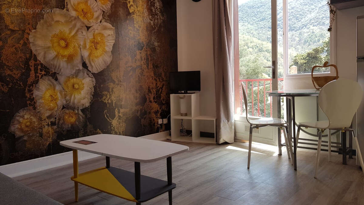 Appartement à AMELIE-LES-BAINS-PALALDA