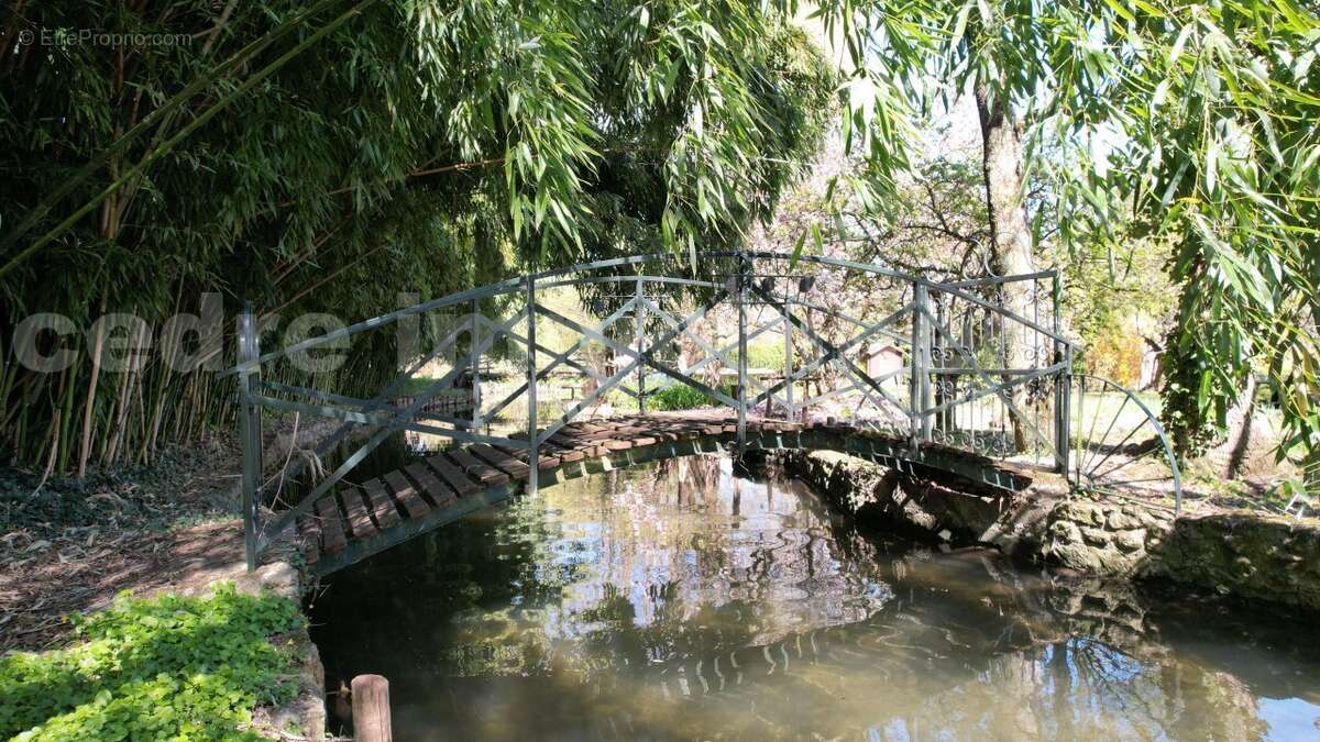 dji_fly_20230405_144926_769_1680705582239_photo - Maison à MEUNG-SUR-LOIRE