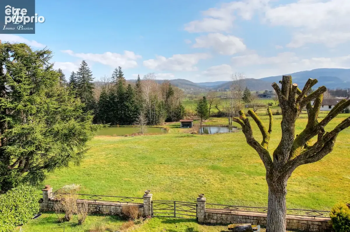 A VENDRE Proche COUSANCE : Magnifique Propriété 11 pièces 350 m2 - photo 18