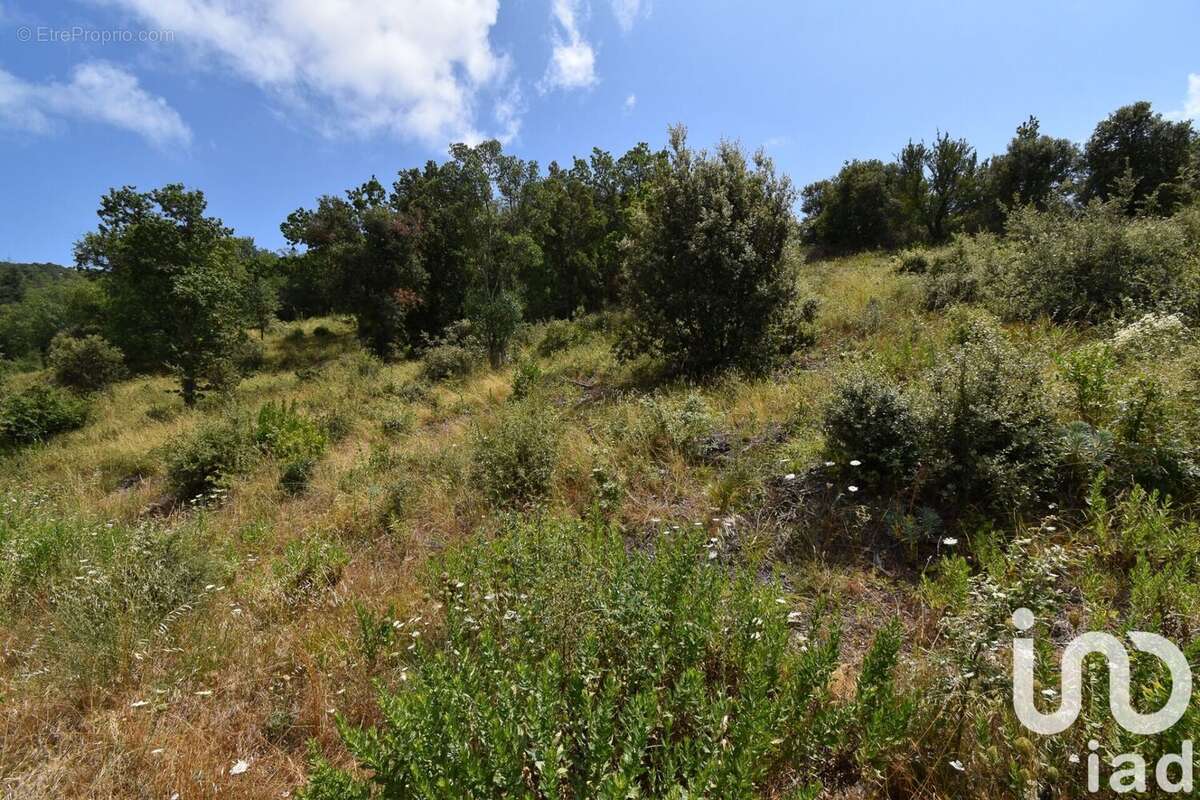 Photo 5 - Terrain à QUINTILLAN