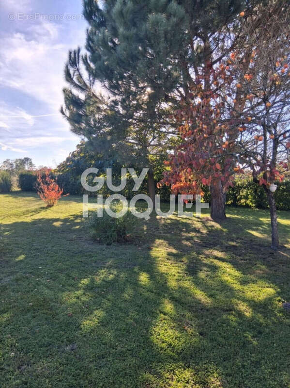 Maison à HAUT-MAUCO