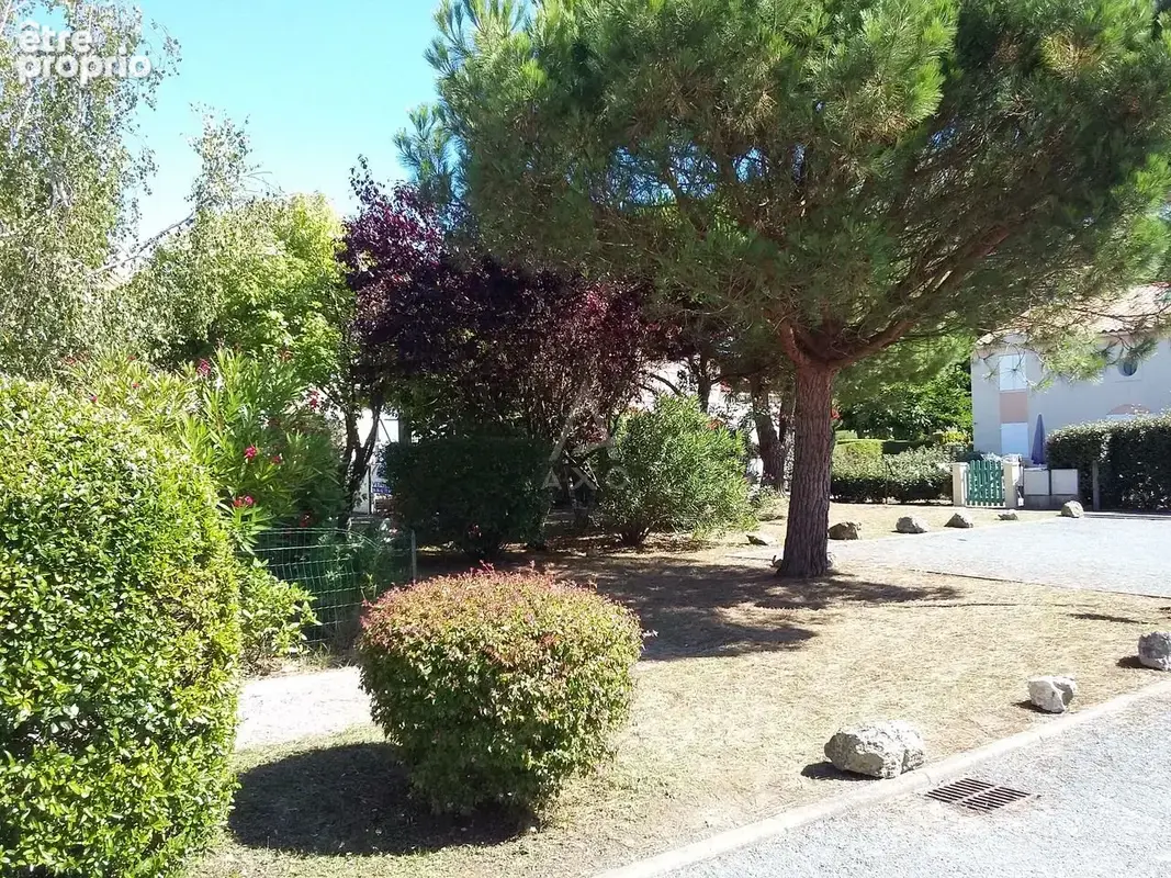 Appartement 2 pièces 25 m² à vendre à Dolus-D'oleron (17550) - photo 8