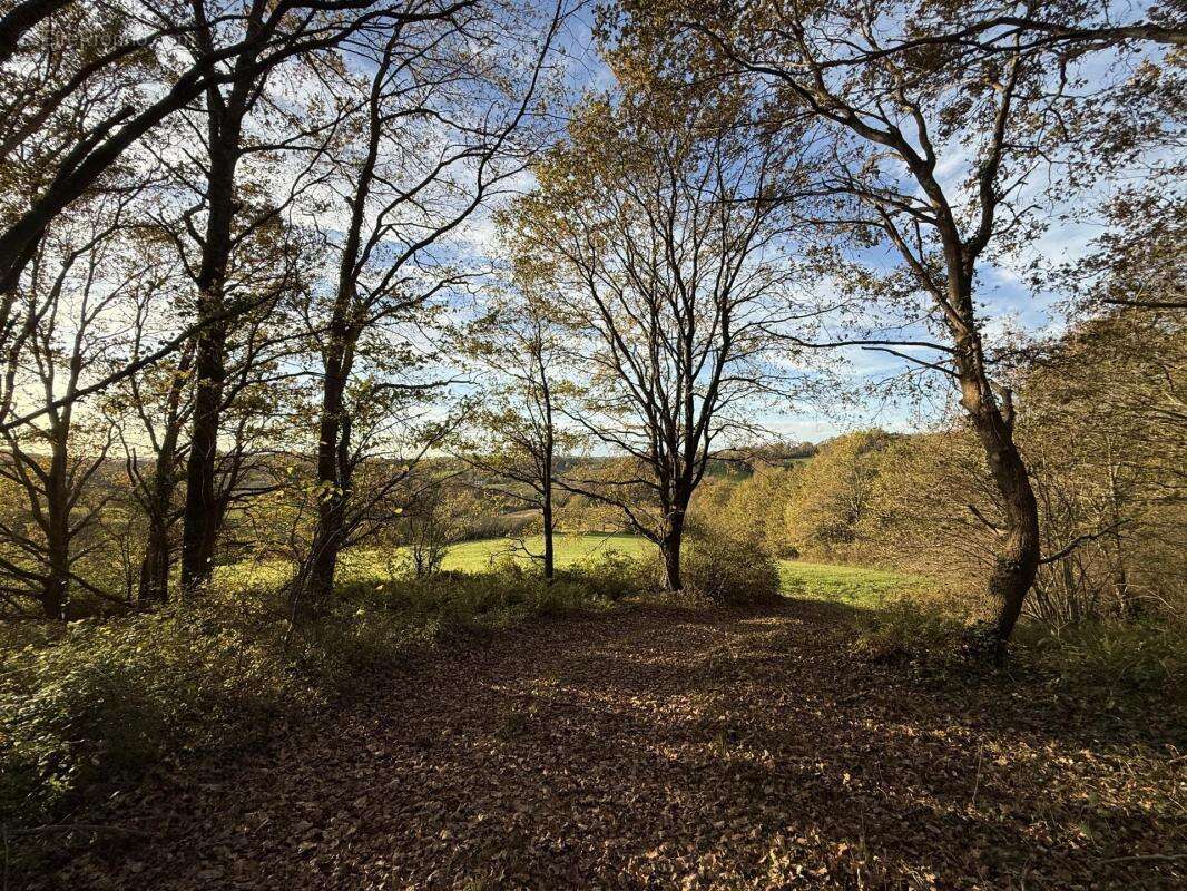 Terrain à BRASSEMPOUY