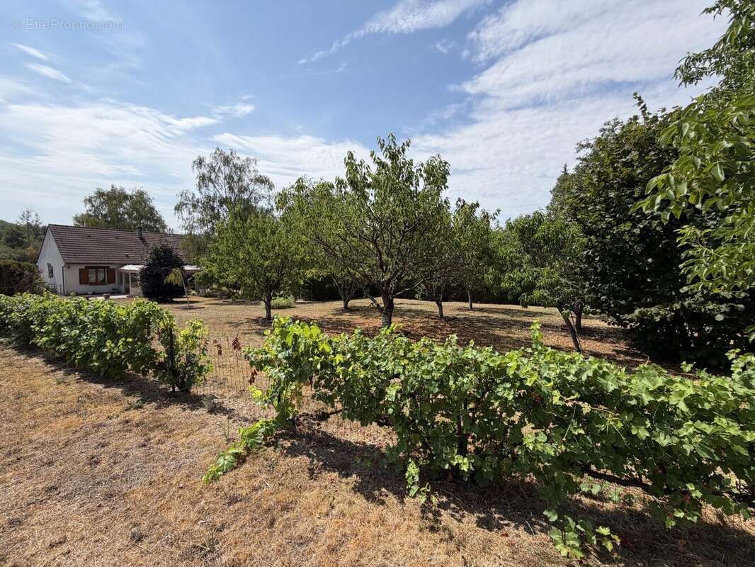 Maison à CHATILLON-SUR-LOIRE