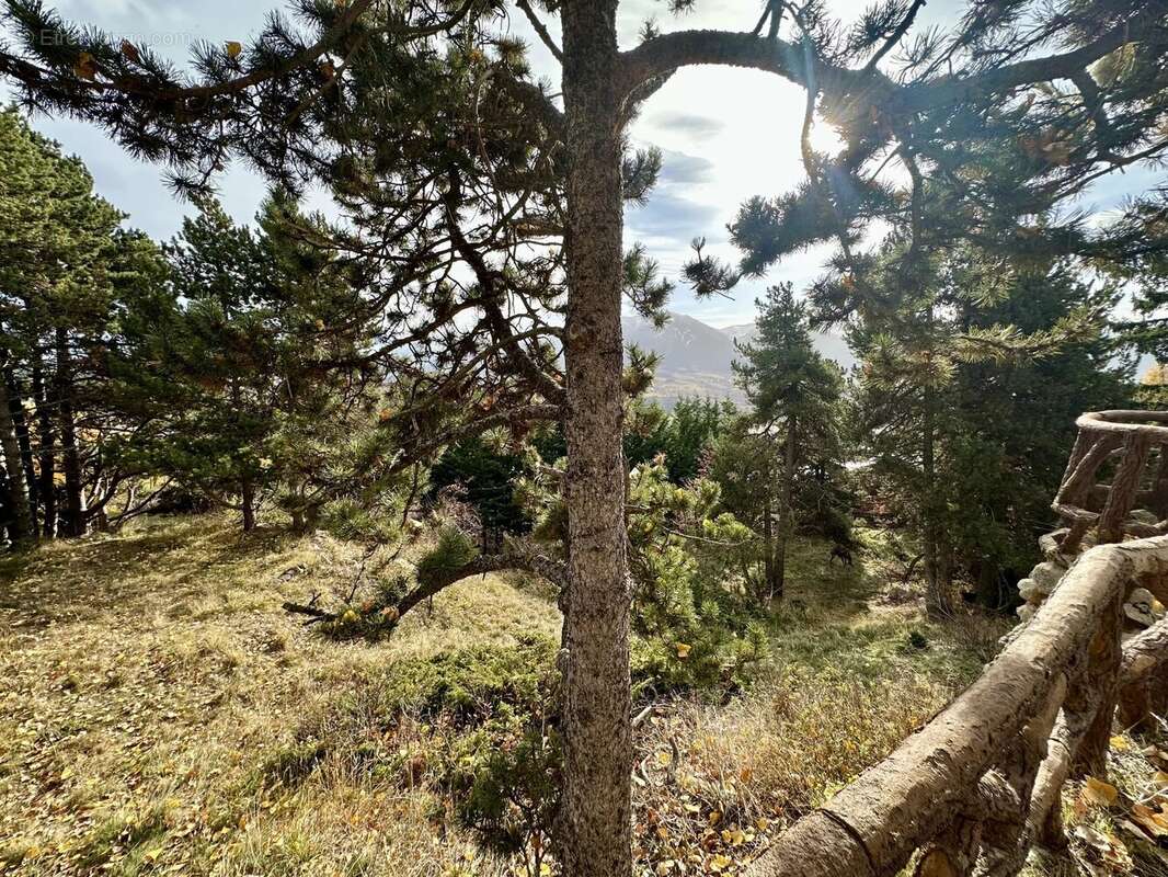 Terrain à FONT-ROMEU-ODEILLO-VIA