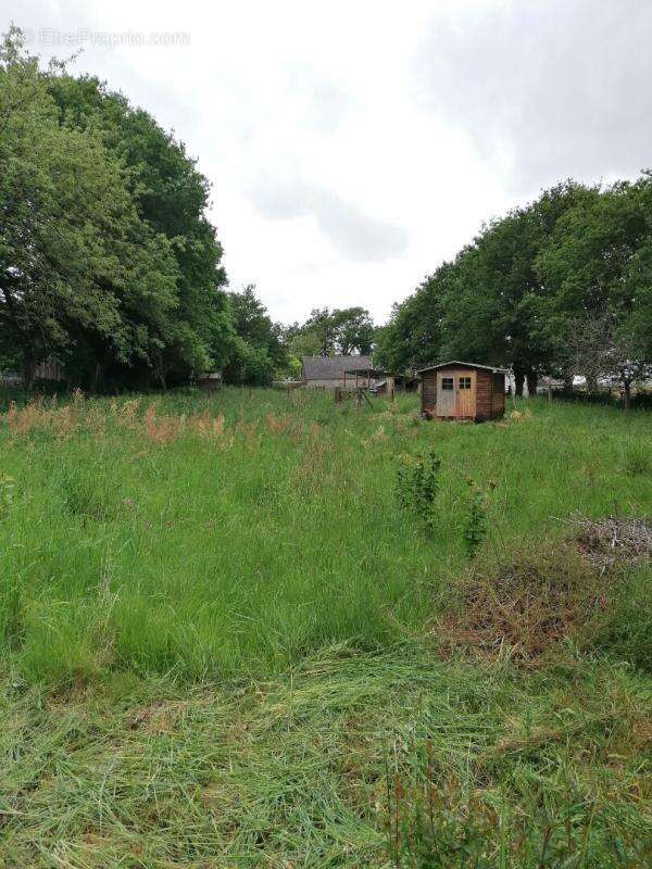 Terrain constructible 2259 m² ? Loyat ? 44 990  FAI - photo 3