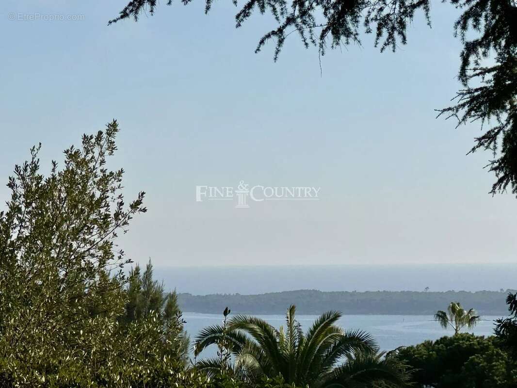 Maison à CANNES