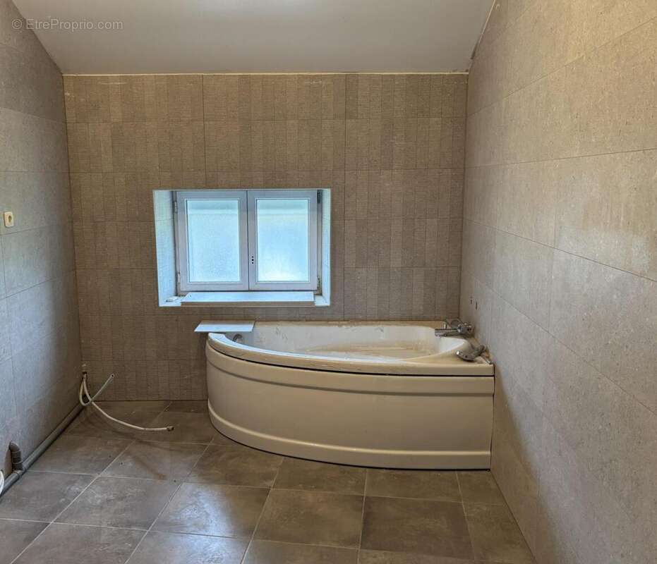 Maison à VILLENEUVE-DE-RIVIERE