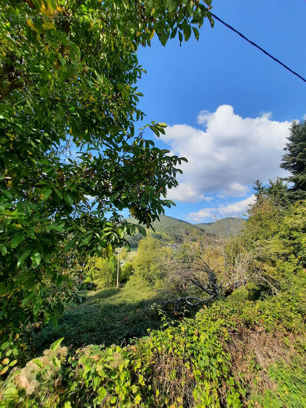 Terrain à SAINT-JEAN-DU-BRUEL