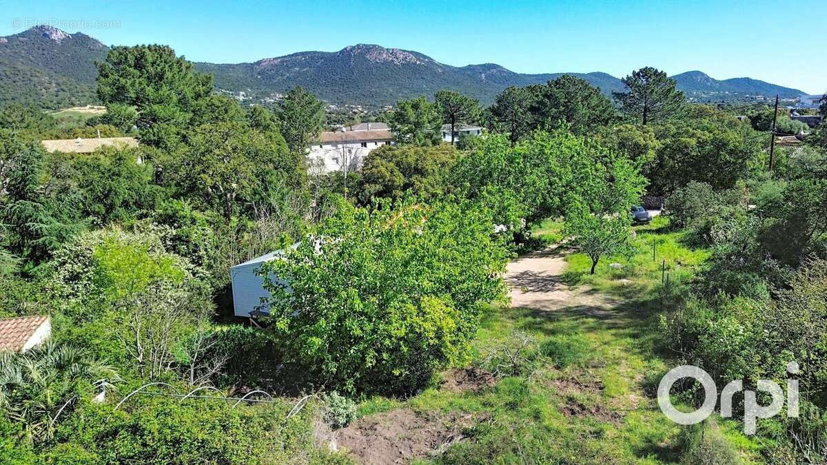 Terrain à PORTO-VECCHIO