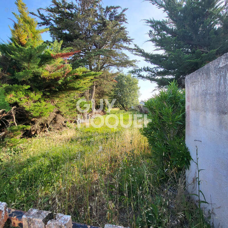 Terrain à SAINT-DENIS-D'OLERON