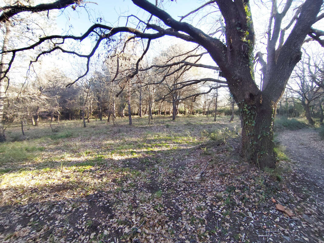 Terrain à ARGELES-SUR-MER