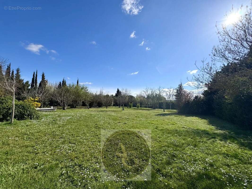 Maison à VILLENEUVE-LA-COMPTAL