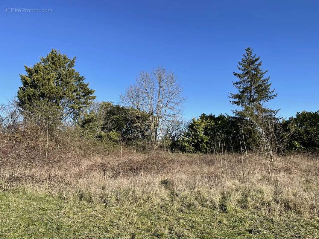 Terrain à VERTEILLAC