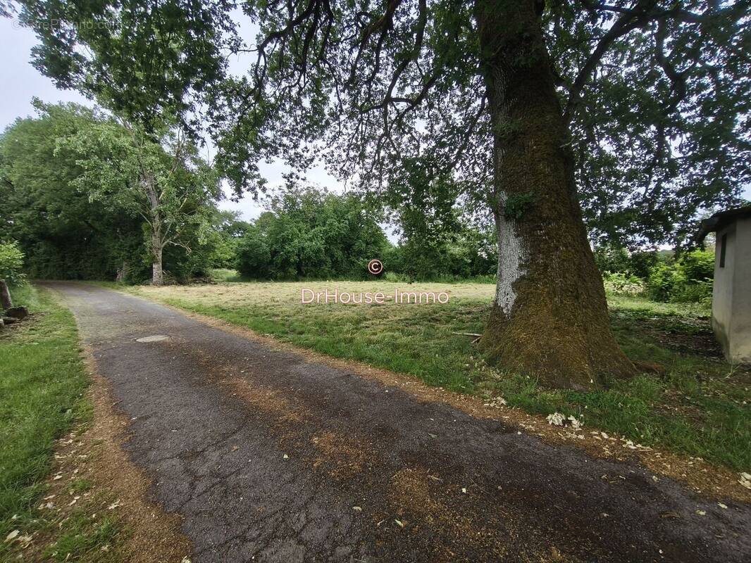 Terrain à TERCE