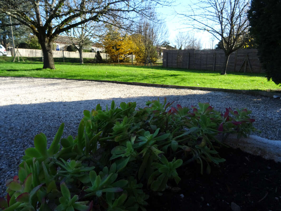 Maison à LESCURE-D'ALBIGEOIS