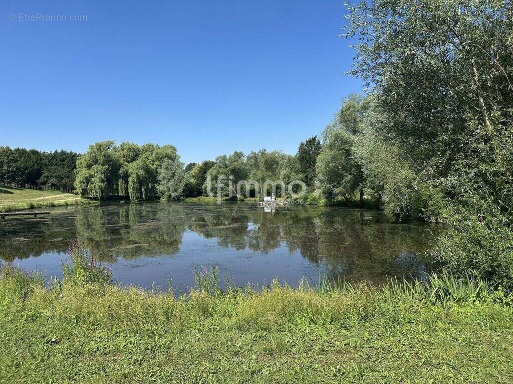 Terrain de loisir avec étang de pêche et roulotte - photo 9