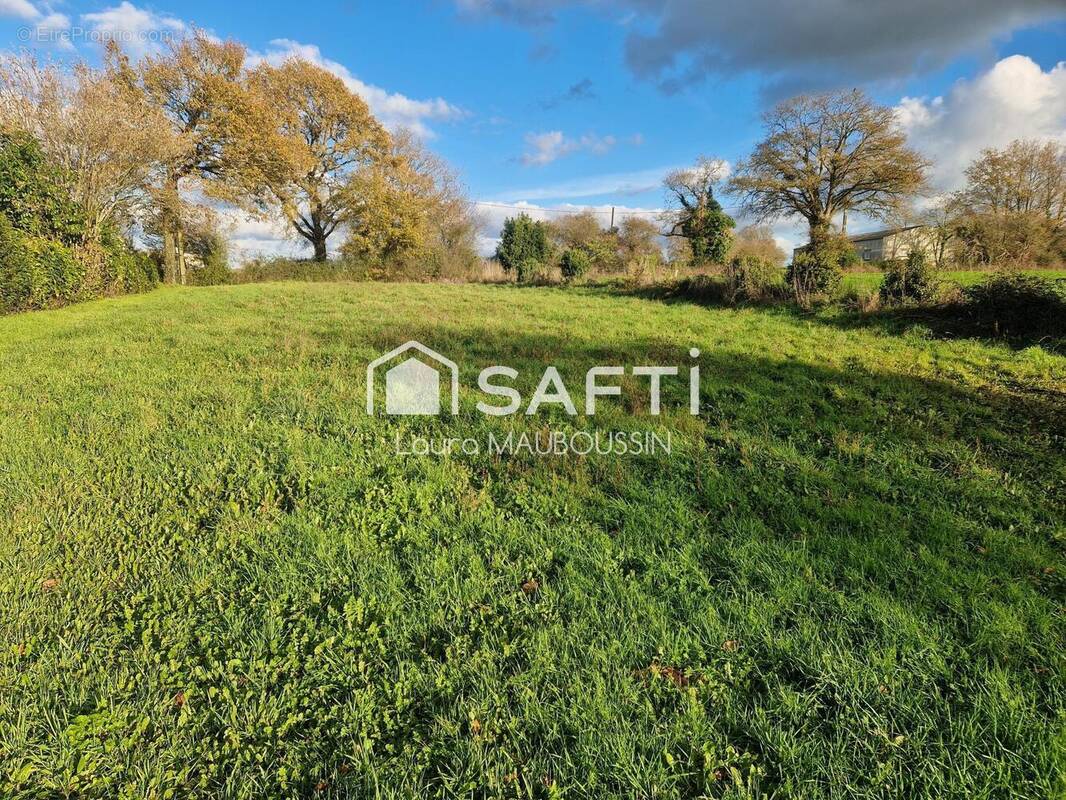 Photo 1 - Terrain à PETIT-AUVERNE