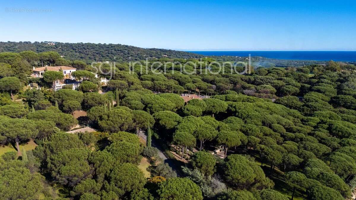 Maison à RAMATUELLE