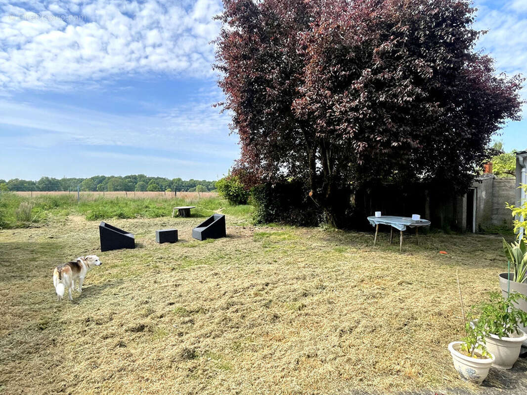 Maison à PONT-SAINT-MARTIN