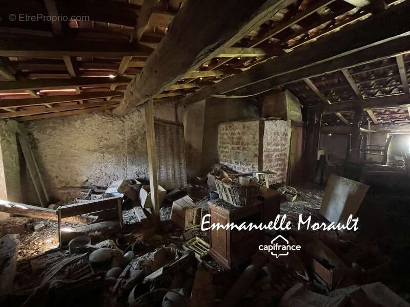 Commerce à BAGNOLS-EN-FORET