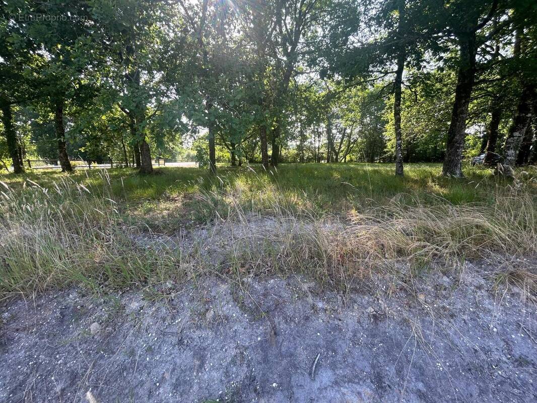 Photo 1 - Terrain à BELHADE