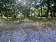 Photo 1 - Terrain à BELHADE