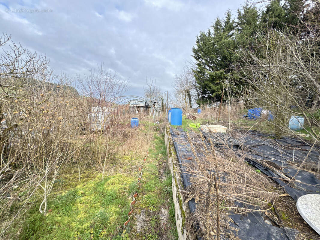 Photo 2 - Maison à AMPLEPUIS