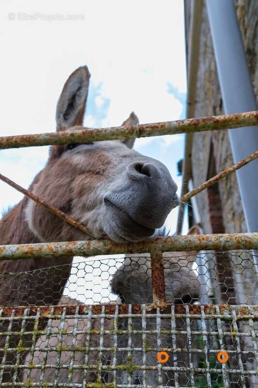 Maison à WIERRE-EFFROY