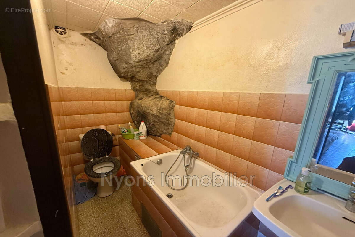 Maison 285 m² à Nyons  - photo 7