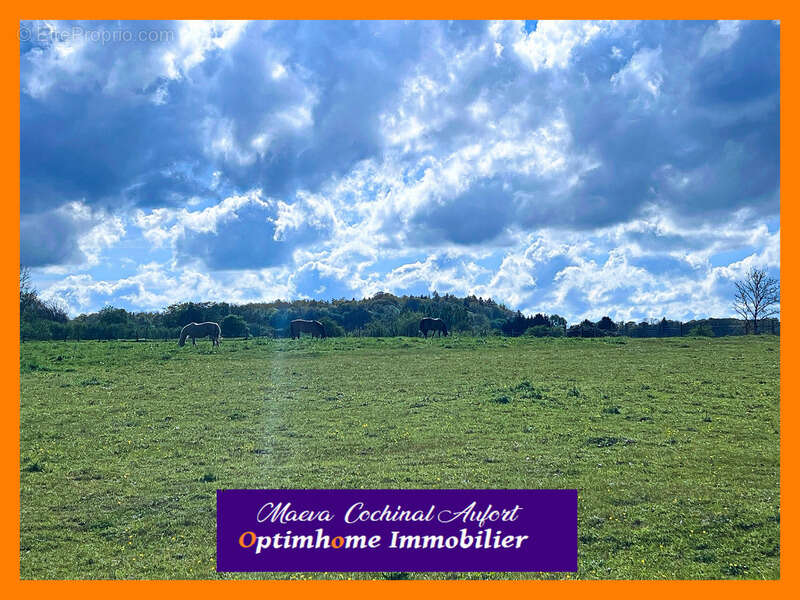 Maison à LE MELE-SUR-SARTHE