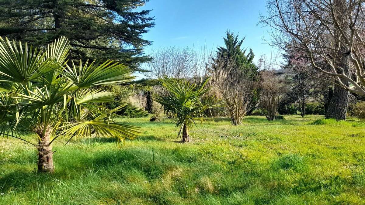 Maison à CASTELNAU-MONTRATIER