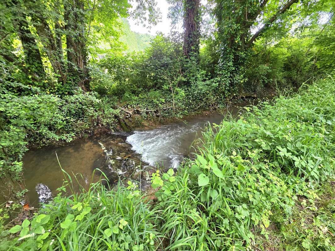 Charmant domaine équestre près de Bergerac - Cadre idyllique avec vue imprenable - photo 10
