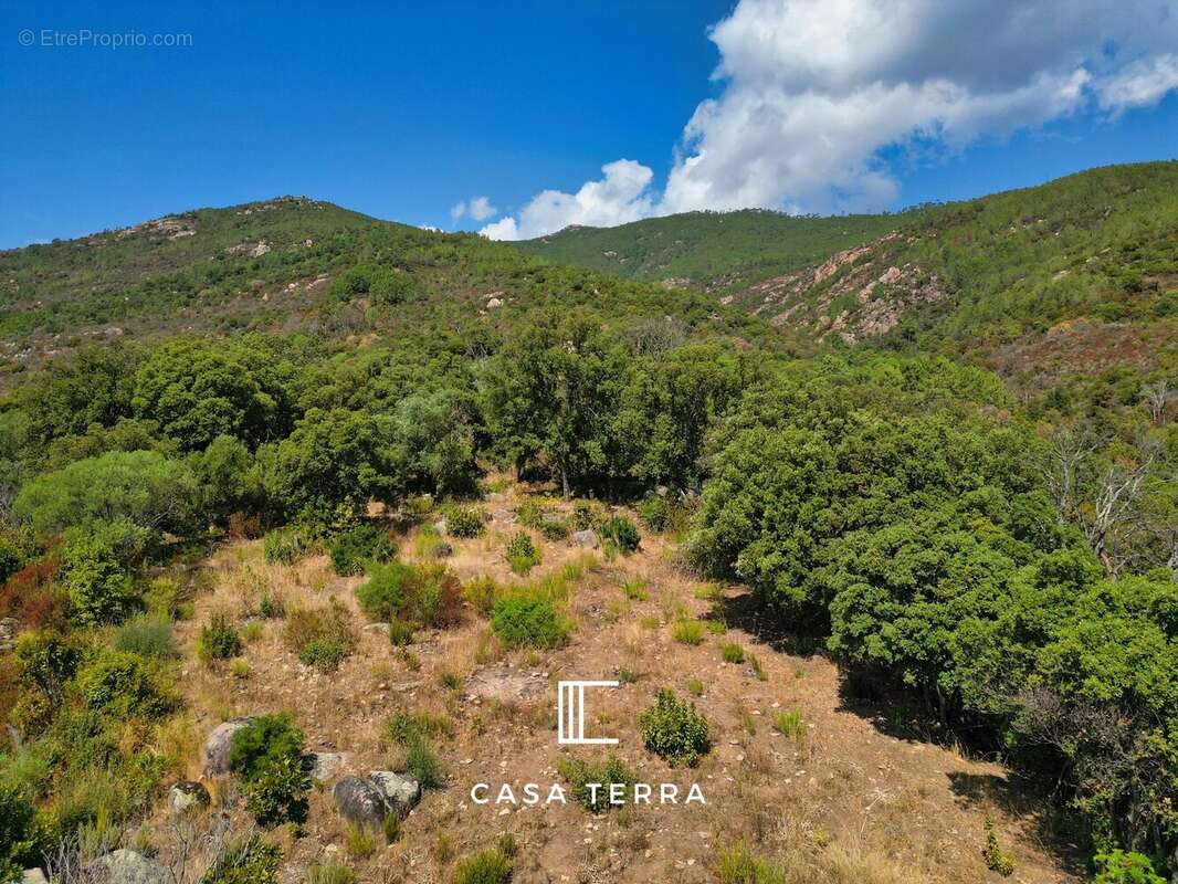 FRAGNU – Terrain à bâtir avec vue mer / Porto-Vecchio - photo 6