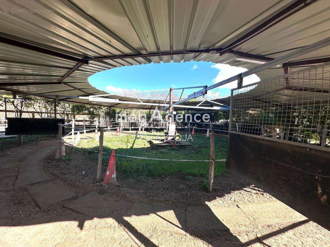 Maison à THORIGNY-SUR-OREUSE