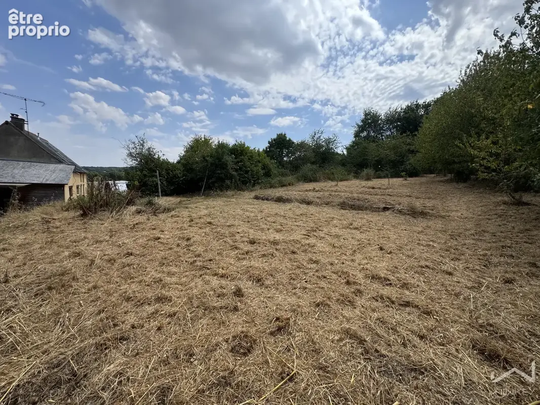 Maison 4 chambres   140 m2   5 000 m2 de terrain   Guichen - photo 3