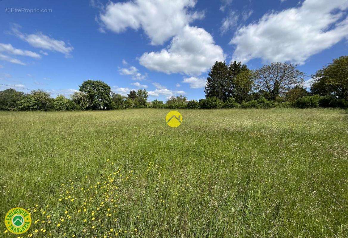 Terrain à CHATEAUNEUF-SUR-CHER