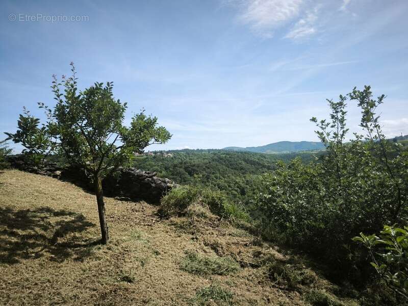 Terrain à TARTARAS