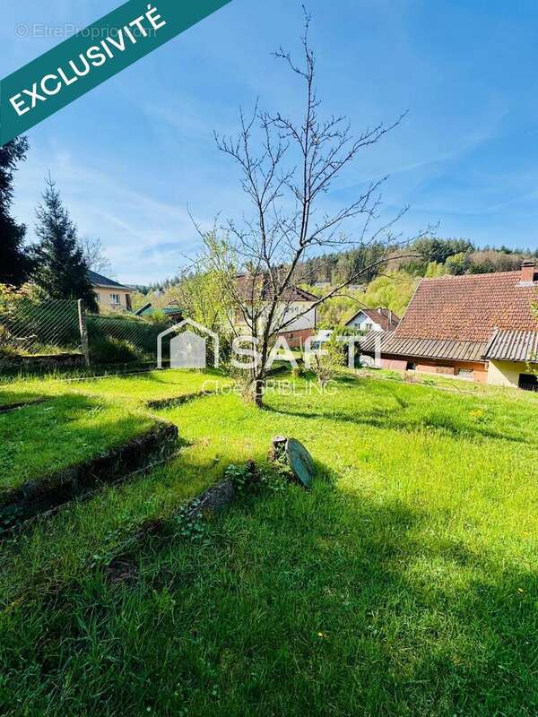 Photo 3 - Maison à MOUTERHOUSE