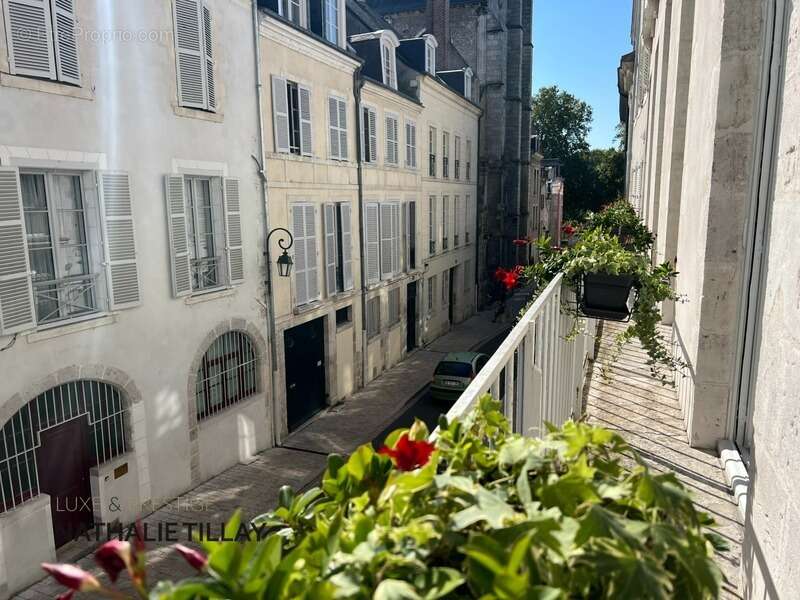 Orleans HYPER CENTRE,  appartement somptueux  de 175 m²  à vendre, dans hotel particulier - photo 3