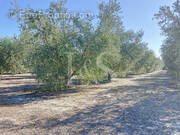 Maison à SAINT-REMY-DE-PROVENCE