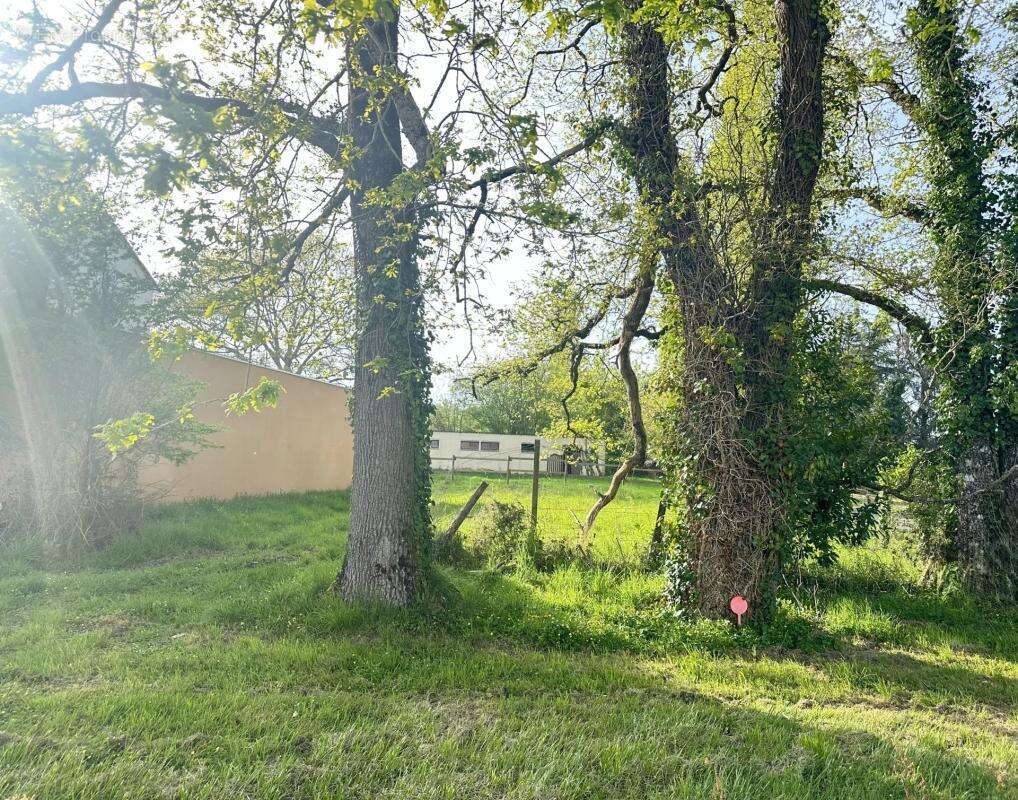 Terrain à LE CELLIER