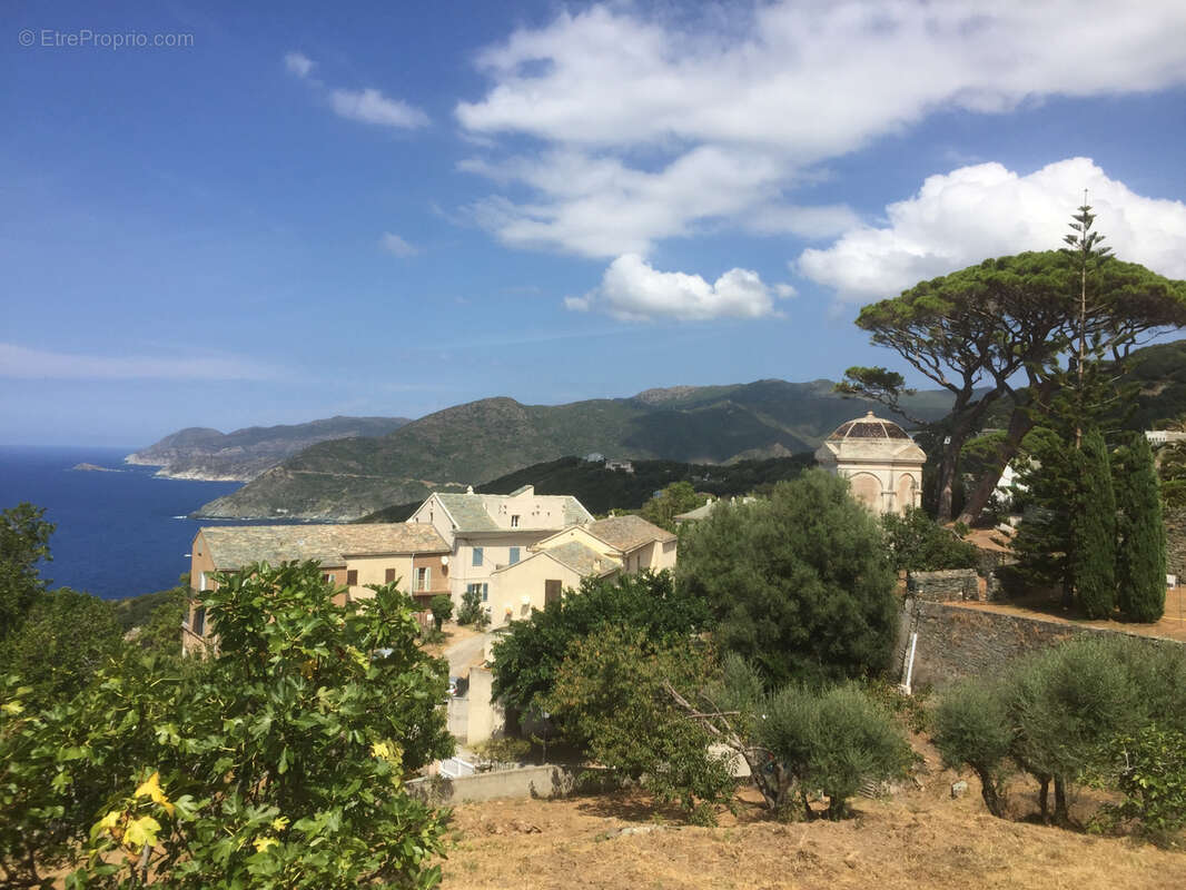 Cap Corse Pino   Terrain à bâtir avec vue mer et avant-projet de villa d’architecte - photo 7