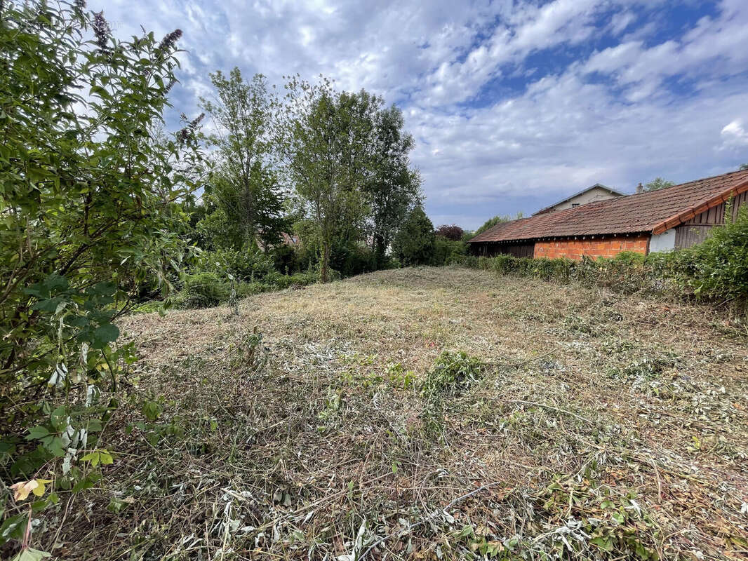 Terrain 1235 m² à Cours-La-Ville  - photo 2