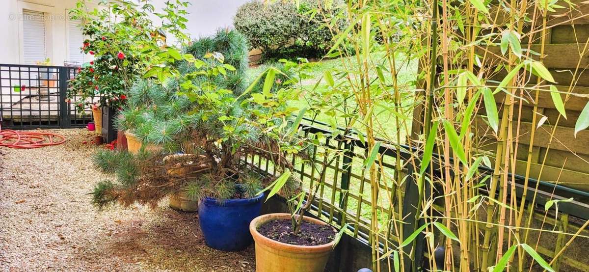 Appartement à VERSAILLES