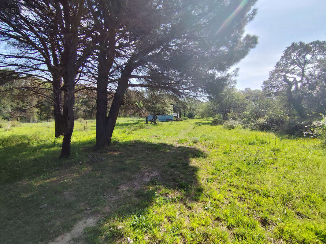 Terrain à ARGELES-SUR-MER