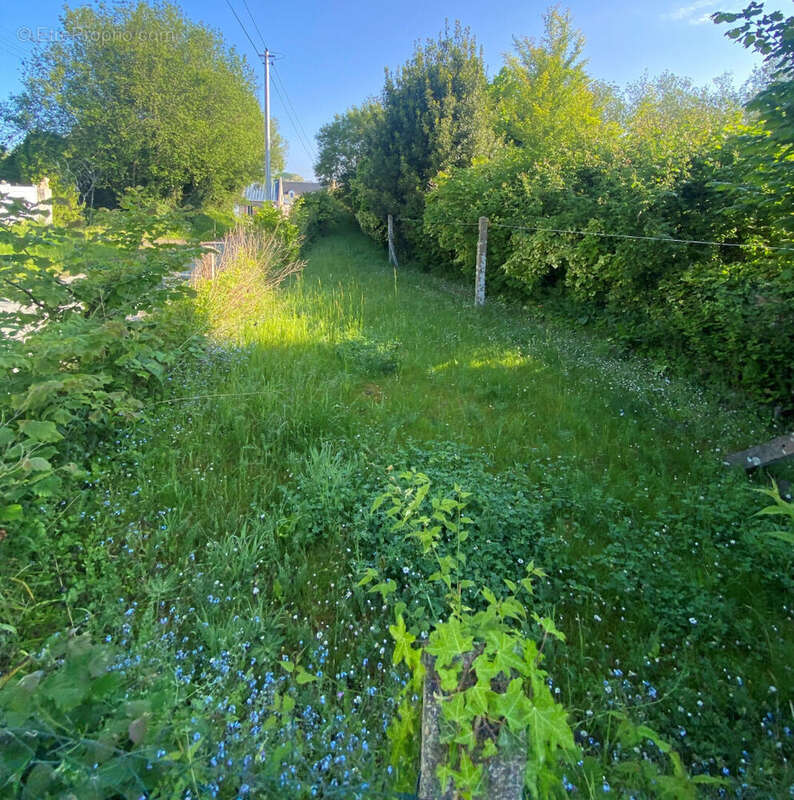 Maison à AGON-COUTAINVILLE