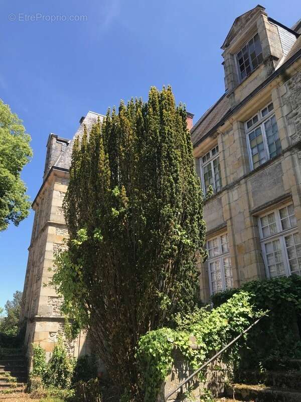 Maison à VIERZON