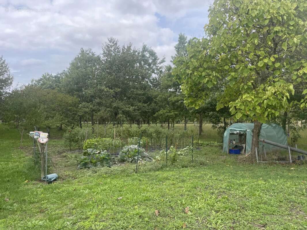 Propriete en pierre avec un batiment de 550 m2 avec terrain - photo 12