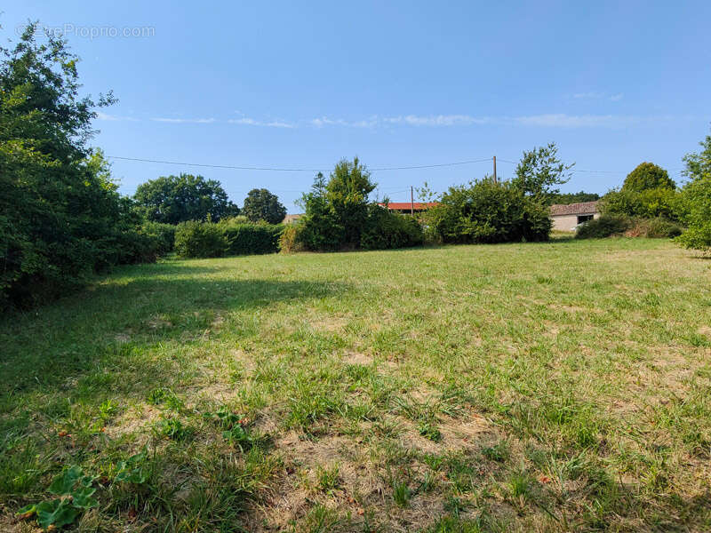 Terrain à SAUZE-VAUSSAIS